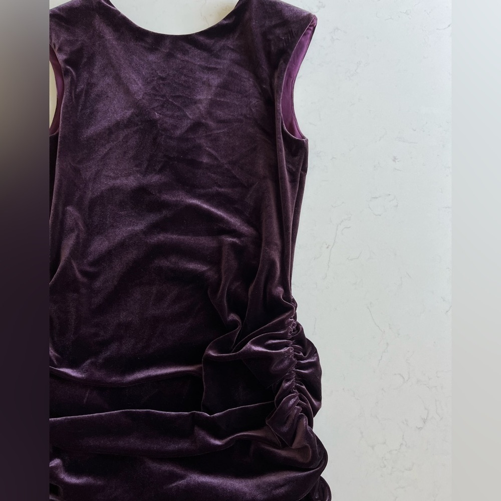 Drew Velour Ruched Dress - Picture 7 of 12